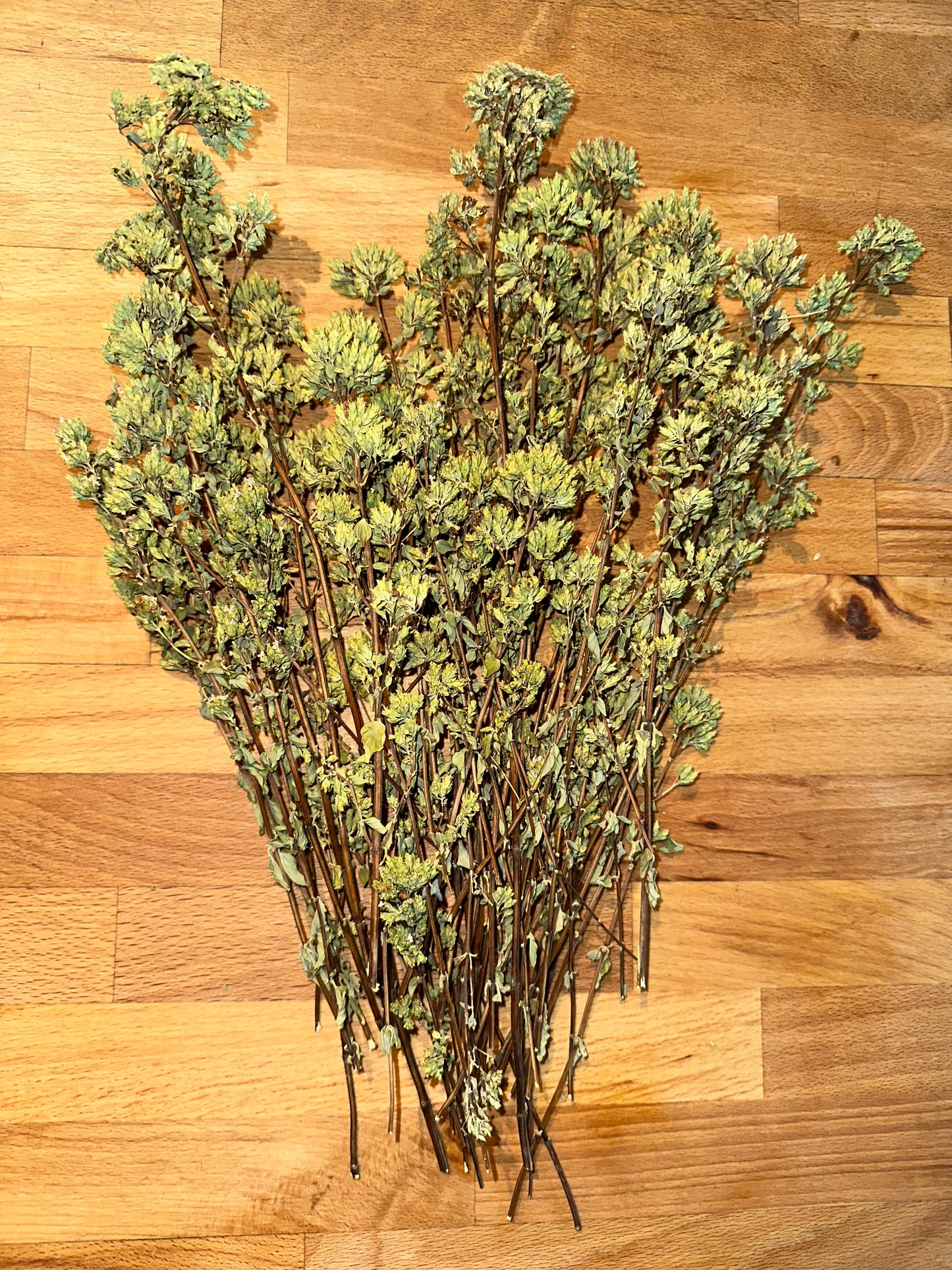 # Paquetes de oregano-2 siciliana de 50g cada uno-Cosecha 2022-Aroma y fragancia intoxicantes